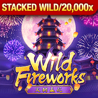 Wild Fireworks